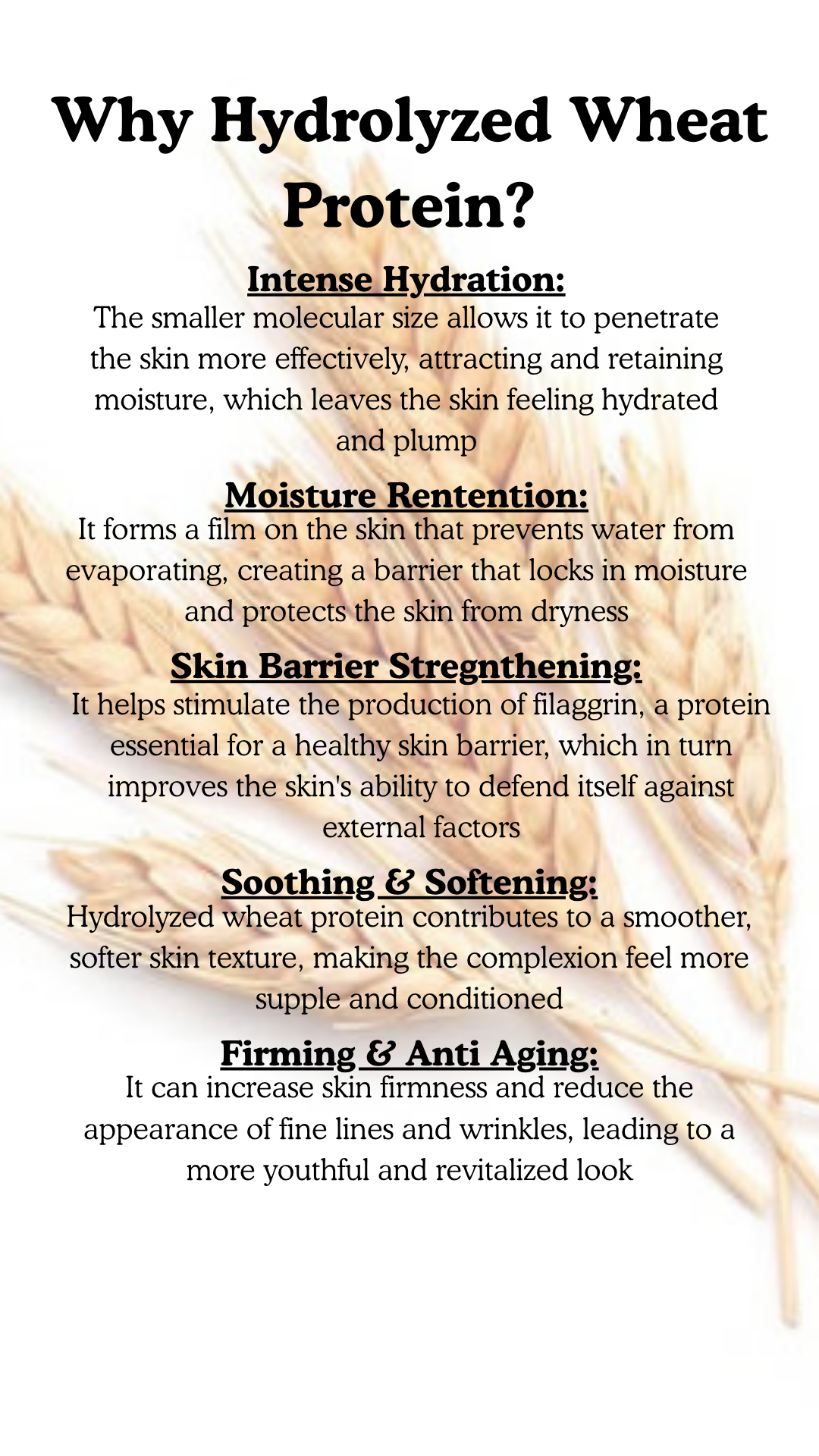 BLUE TANSY Facial Moisturizer