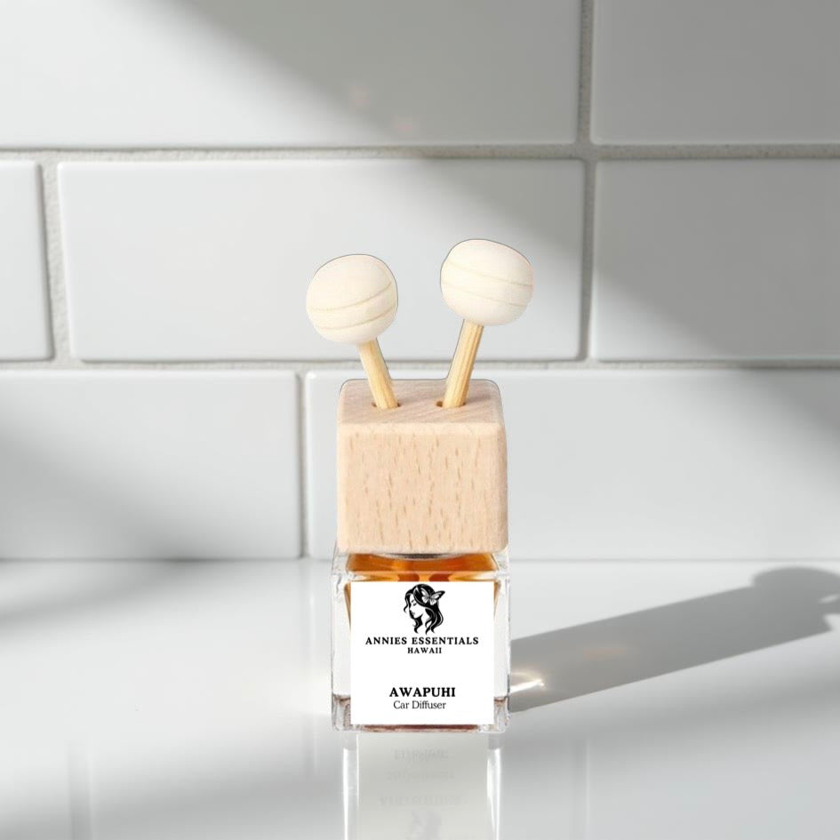 Car Diffusers (BEST SELLER)
