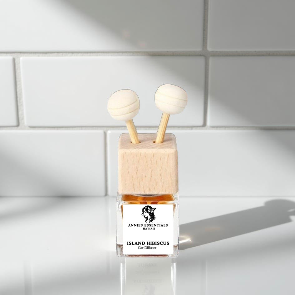 Car Diffusers (BEST SELLER)