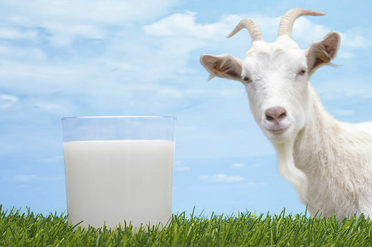 Goat Milk Soap Base: Why It’s One of the Best Ingredients for Healthy Skin
